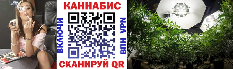 ГАШИШ Болохово