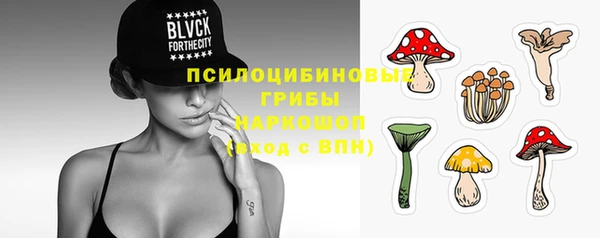 дмт Беломорск
